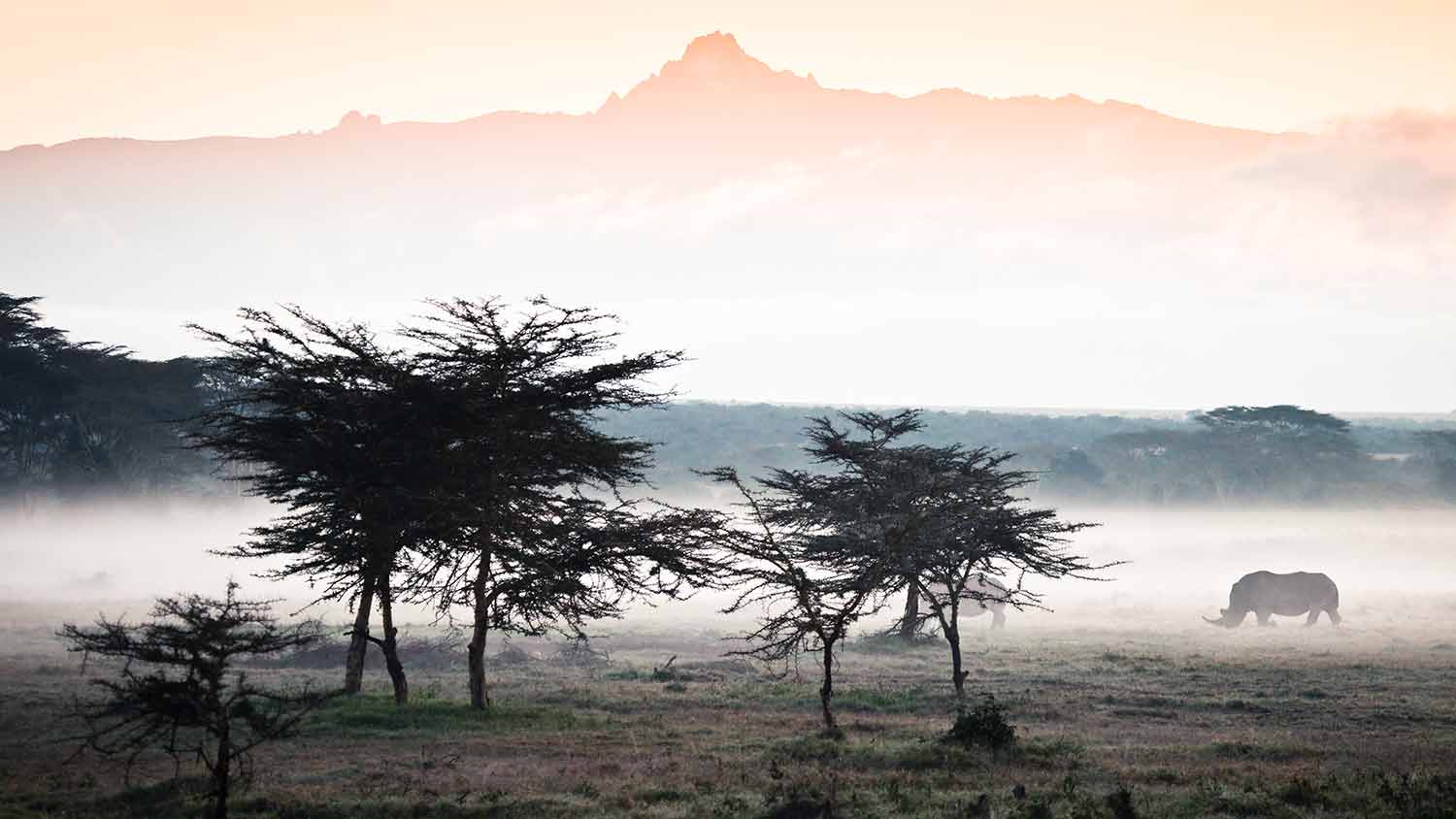 África Moto-Safari (c/ Massai Mara) 2024